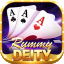 wealth rummy icon