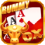 gin rummy stars